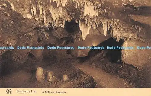 R170102 Grottes de Han. La Salle des Mamelons. Nels. S.A. des Grottes de Han su