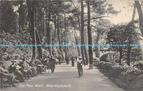 R171165 The Pine Walk. Bournemouth. 1925