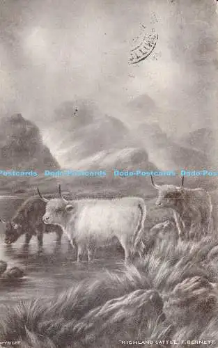 R170733 Highland Cattle. F. Bennett. 1910