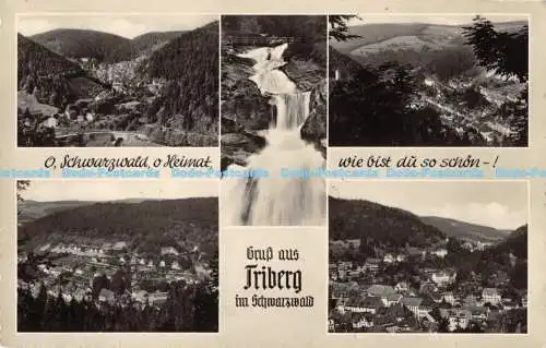 R169721 Grus aus Triberg im Schwarzwald. Hersteller und Schoning. Multi View