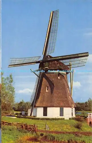 R171984 Hollandse Molen. Holländische Windmühle. Delphin