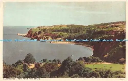 R170334 Babbacombe von Petit Tor Downs. Englische Serie. Präzision