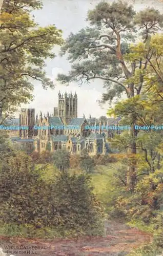 R172129 Wells Cathedral. Von Tor Hill. Lachs. 1933. A. R. Quinton