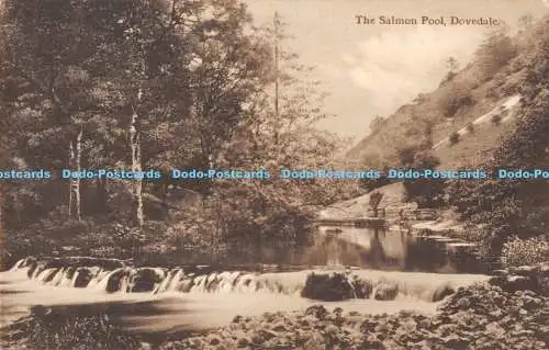 R173273 The Salmon Pool. Dovedale. R. und R. Bull