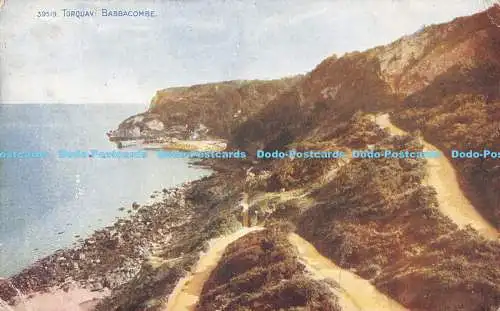 R173359 Torquay. Babbacombe. Celesque. Photochrom. 1921