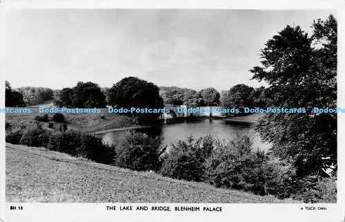 R173530 Der See und die Brücke. Blenheim Palace. stecken. RP