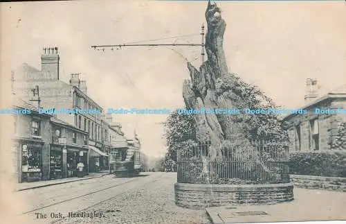 R174258 The Oak. Headingley. 1906