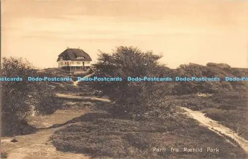 R174483 Parti fra Raebild Park. Hine Andersen