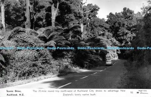 R176592 Scenic Drive. Auckland. N.Z. Die 20 Meilen lange Rundtour nordwestlich von Auckl