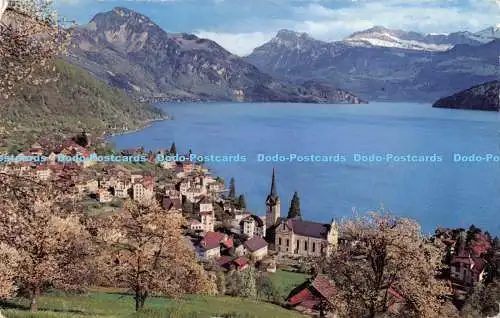 R176084 Weggis am Vierwaldstattersee mit Vitznauerstock. Nieder und Oberbauen. A