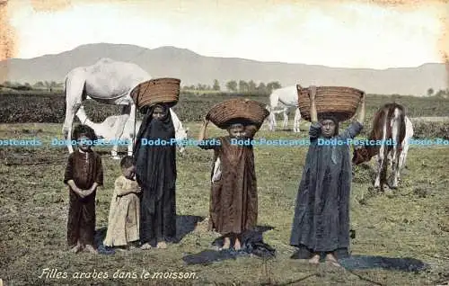 R179130 Filles Arabes dans le Moisson. Ephttimios Freres