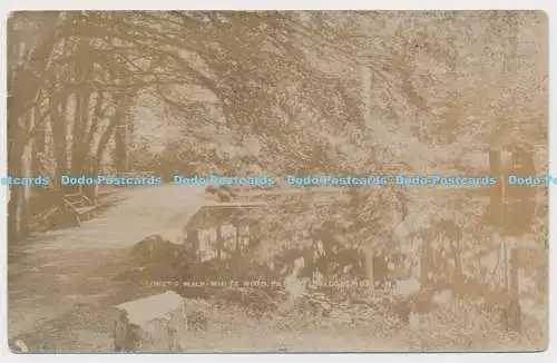 C000166 Lovers Walk weißes Holz. Pateley Bridge. 1909