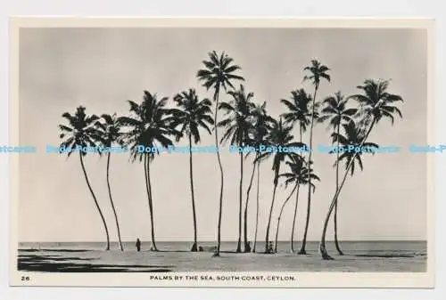 C004353 26. Palmen am Meer. Südküste. Ceylon. Ceylon Bilder. RP