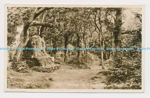 C003651 1102. Alter Steinsitz in Landslip bei Shannklin. I.W.RP. Nahe. 1958