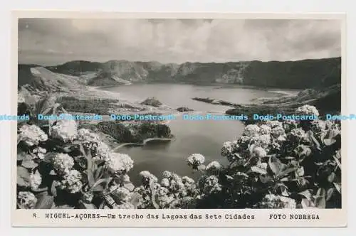 C004456 S. Miguel Acores. Um trecho das Lagoas das Sete Cidades. Foto Nobrega. A