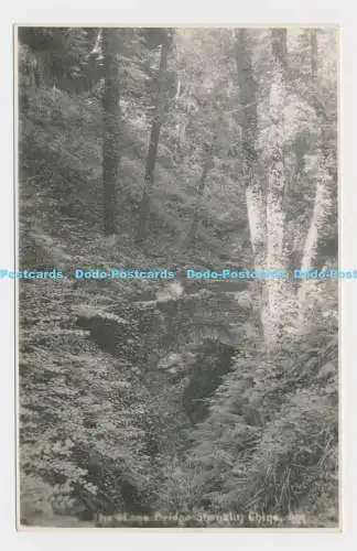 C004657 Steinbrücke. Shanklin Chine. 899