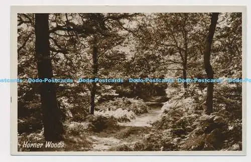 C006688 Horner Woods. 1673. Englische Serie. Präzision