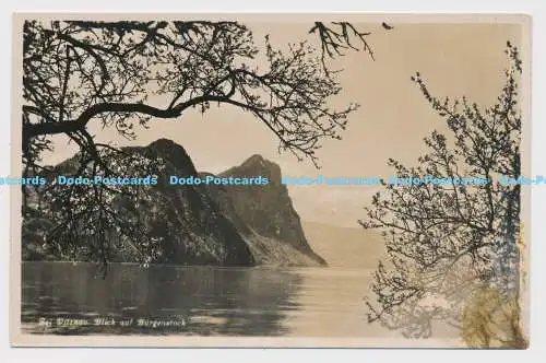 C007488 Bei Vitznau. Blick auf Burgenstock. E. Goetz. Luzern