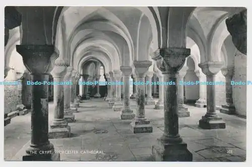 C007844 Crypt. Worcester Cathedral. 101. RP