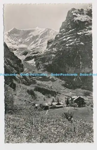 C009994 Grindelwald. Fiescherhorn. 2003. H. Steinhauer. Interlaken