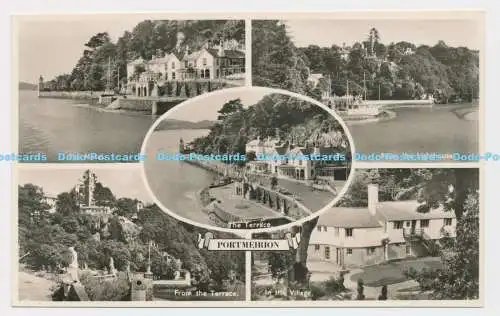 C007151 Portmeirion. Lachs. RP. Multi View