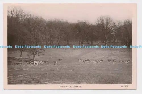 C011230 Park Pale. Cobham. Nr. 528. W. N. Echtfoto Eastgate Serie. Nr. 5