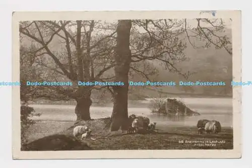 C010332 610. Frühling in der Seenplatte. Rydal Water. RP. 1934