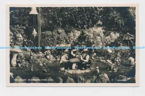 C010428 Wichtel. Blackgang Chine. I.O.W. 12724. Walter Scott. RP