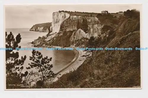 C010485 White Cliff. Seaton. 34466. G. A. Mettam. RP