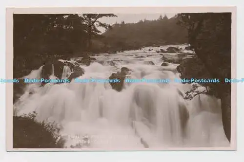 C012255 Schwalbe fällt bei Hochwasser. Bettys y Coed