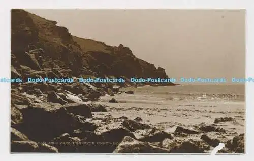 C017043 Die Eidechse. Stift Oliver Point. Richter. 11561. 1929