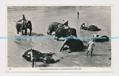 C017377 Ceylon. Elefanten baden in Katugastota. Ceylon Bilder. RP