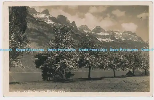 C018097 Fruhling am Walensee. 1940