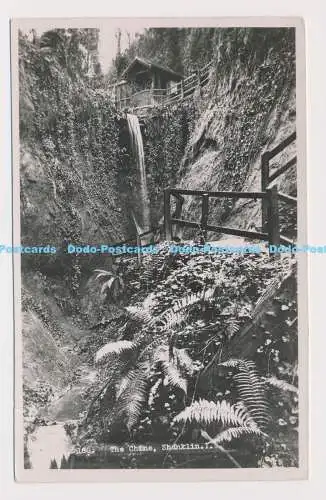 C020347 I. W. Shanklin. The Chine. Nahe. RP. 1951