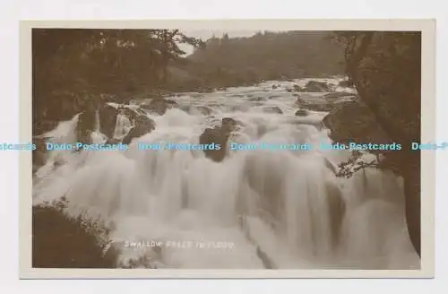 C019520 Schwalbe fällt bei Hochwasser