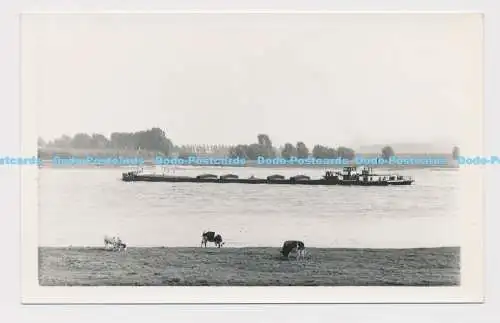 C020919 Nijmegan. Fluss Waal. M. Barge. 1965