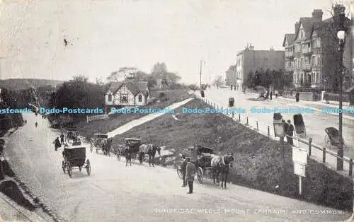 R180693 Tunbridge Wells. Berg Ephraim und Common. 19054