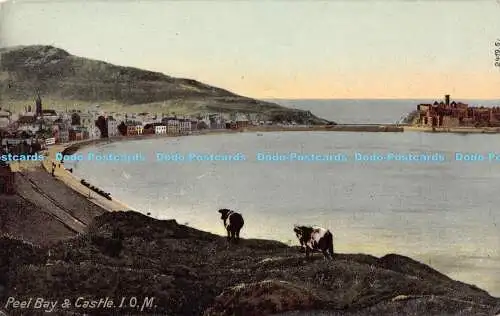 R180314 Peel Bay and Catsle. I.O.M. Hartmann