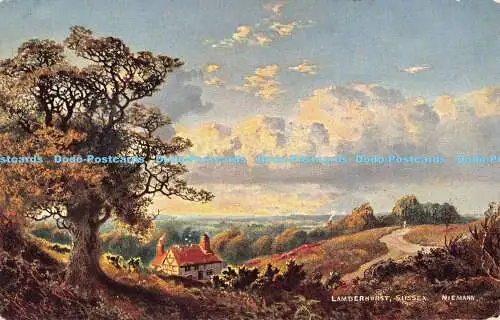 R181580 Lamberhurst. Sussex. Niemann. S. Hildesheimer. Nr. 5312. 1906