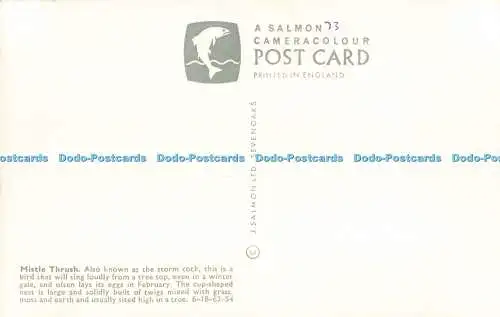 R680339 Misteldrossel. J. Salmon Ltd. Cameracolour. 1973