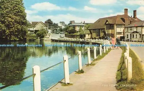 R680596 Lindfield. Der Teich. J. Salmon Ltd. Cameracolour. 1983