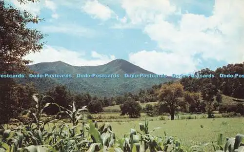 R680466 Western North Carolina. Berg Fisgah und die Ratte. Mount Pisgah. Hugh Mor