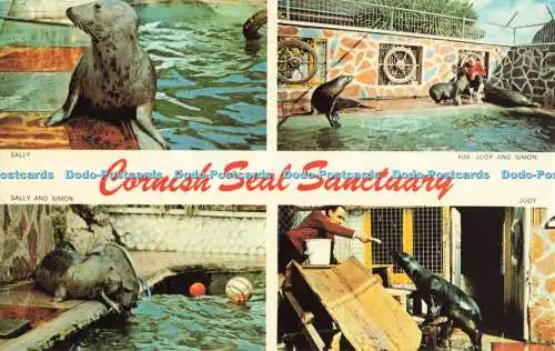 R686060 Cornish Seal Sanctuary. Sally. Judy. Jarrold. Multi View