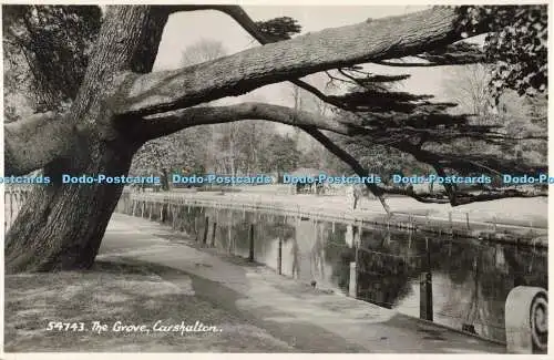 R687531 Carshalton. The Grove. E. A. Sweetman. RP