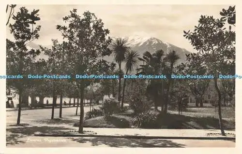 R688219 Locarno. Vegetazione. Fotoglob. Postkarte