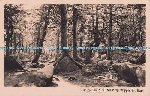 R696224 Marchenwald bei den Hohnelippen im Harz. Carl Friedrich. RP