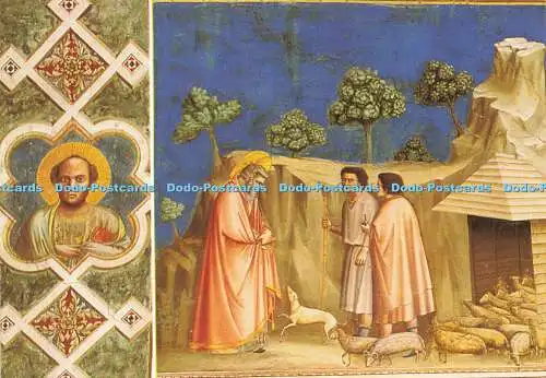 D145408 Padua. Cappella degli Scrovegni Giotto. Joachim unter Hirten. 1997.