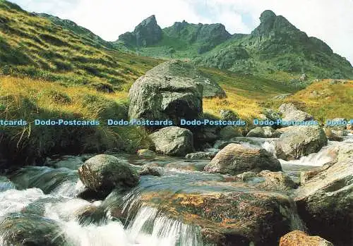 D145647 Arrochar. Schuster. Whiteholme. Hagel Caledonia Produkt