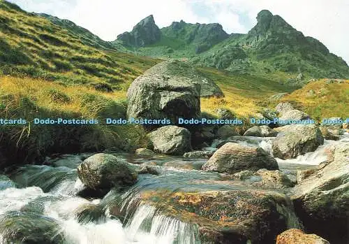 D145667 Arrochar. Schuster. Whiteholme. Hagel Caledonia Produkt