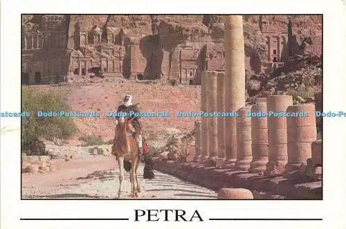 D146054 Petra